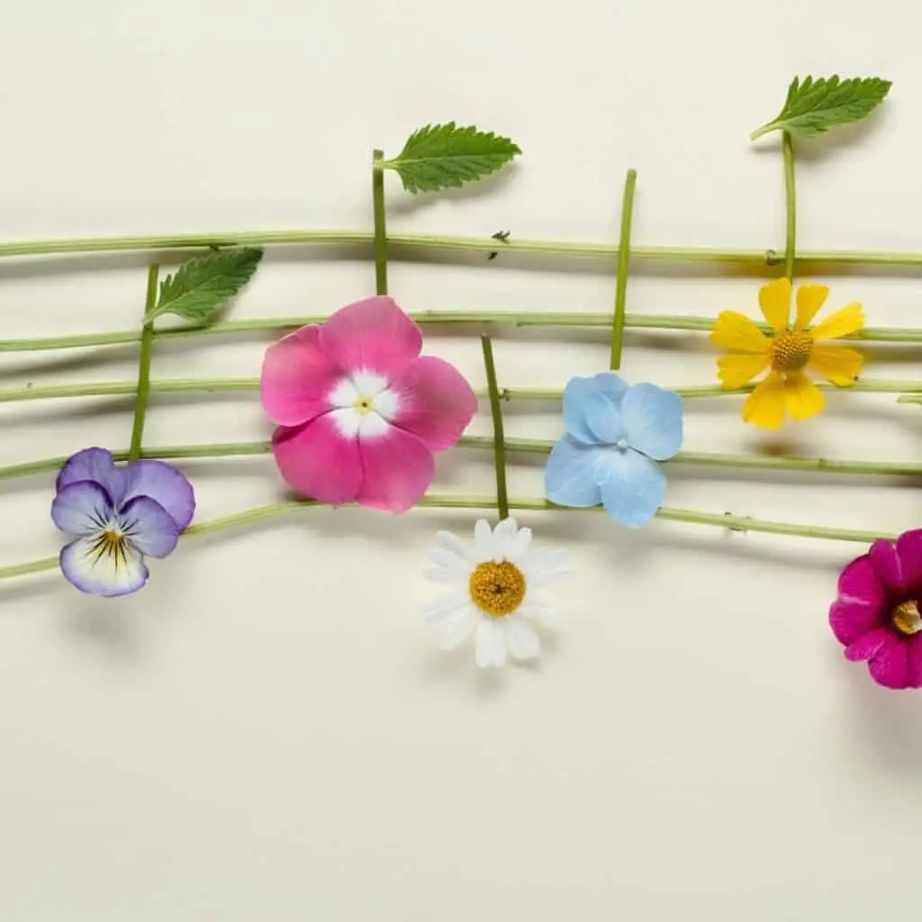 musical notes formed with flowers
