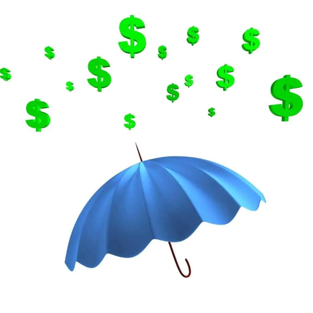 image of dollar signs raining on blue umbrella