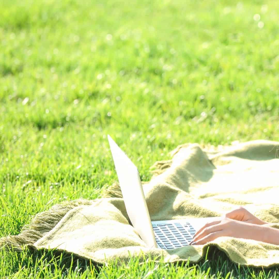having a profitable online yard sale is easy witth these tips. image of laptop on blanket on grass