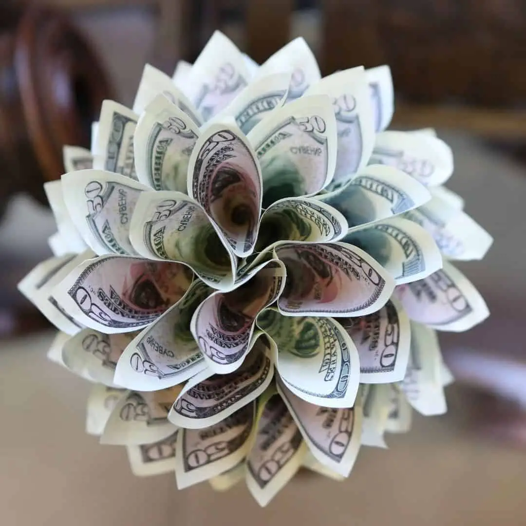 bouquet of 20 dollar bills