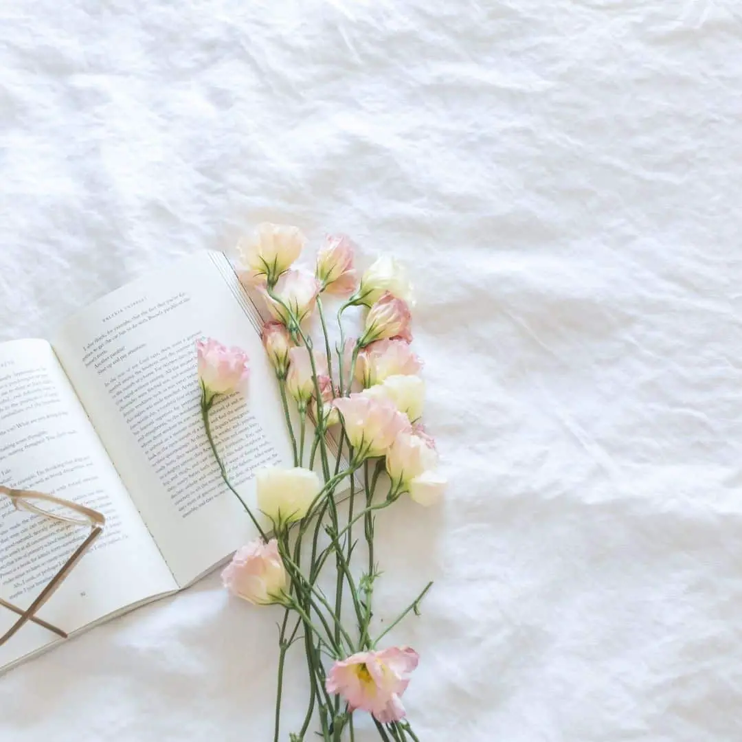 recovering from financial loss; image of flowers and book