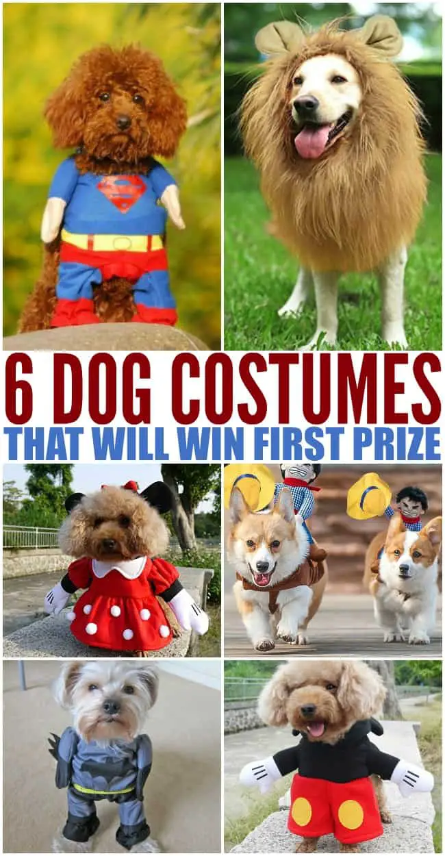 funny dog halloween costumes