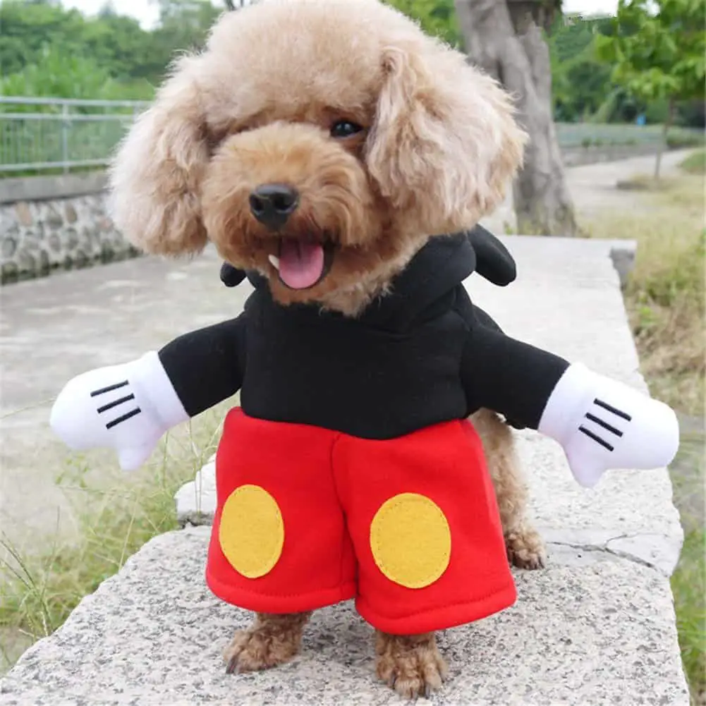 dog mickey mouse costume