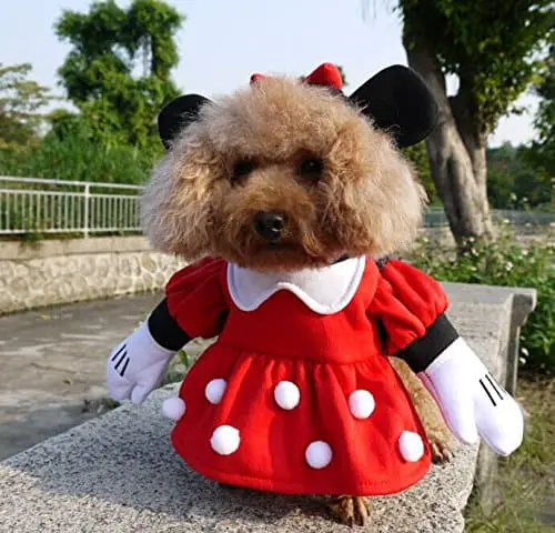 dog minnie mouse costume