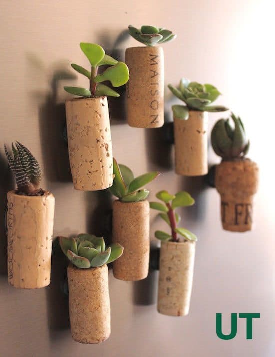 diy upcycled cork succulents 