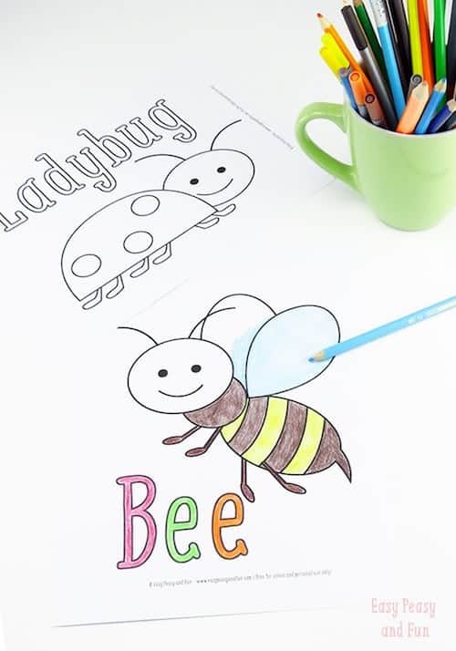 free bug coloring page