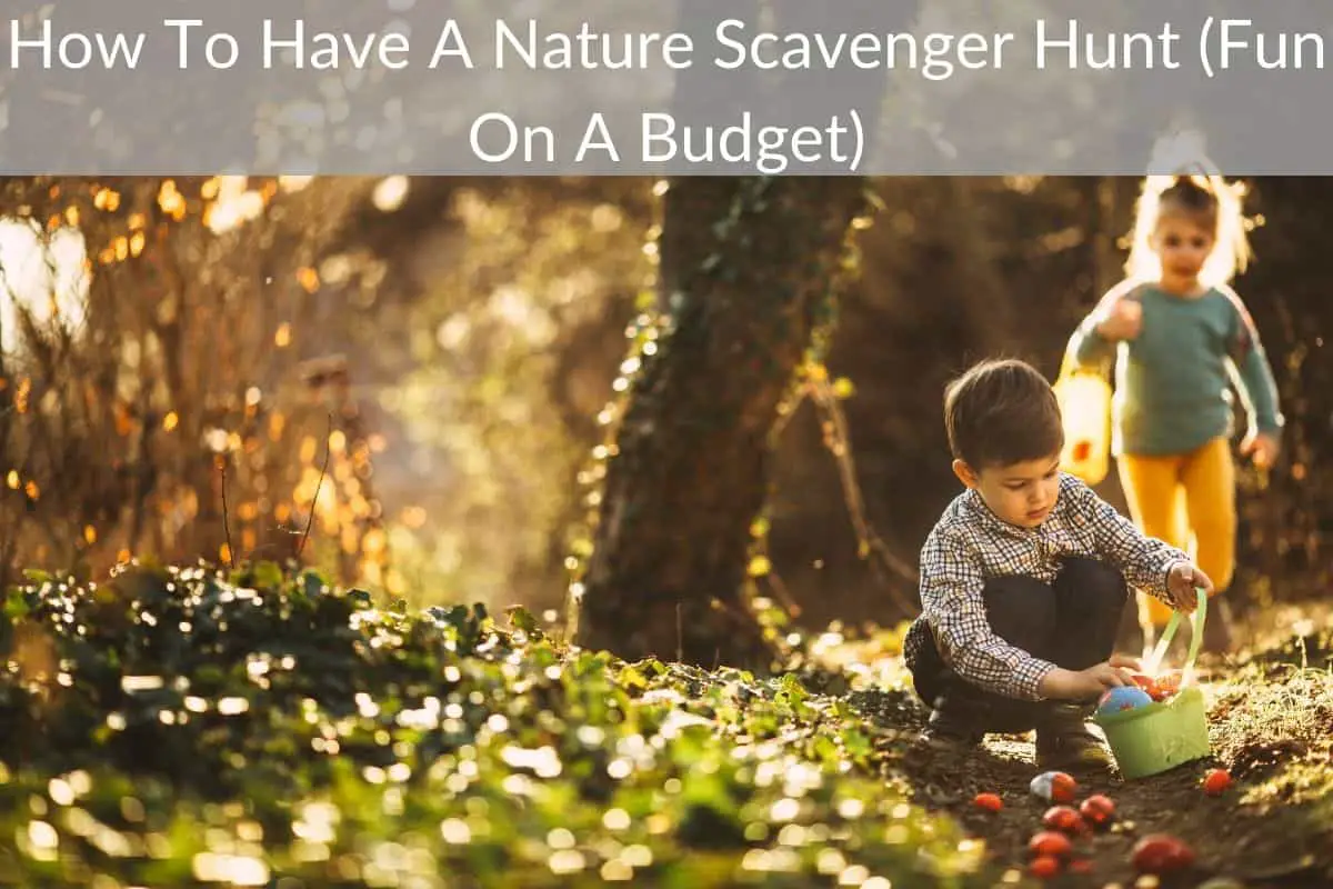 How To Have A Nature Scavenger Hunt (Fun On A Budget)