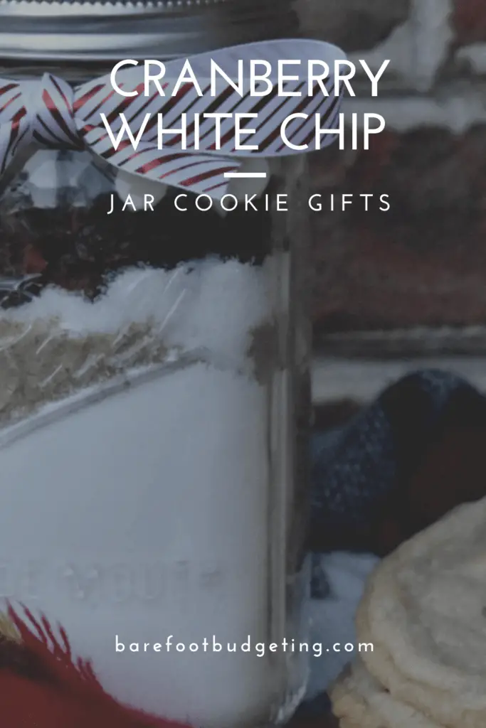 Cranberry White Chip Cookie