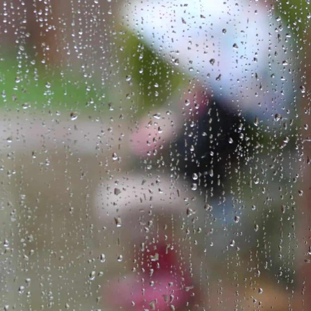 Emergency Fund featured image. Image of umbrella blurred by rain depicting a rainy day (fund)
