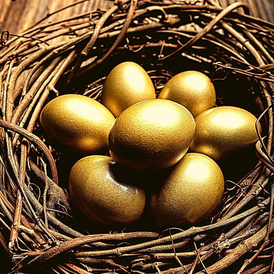 image: birds nest with golden eggs